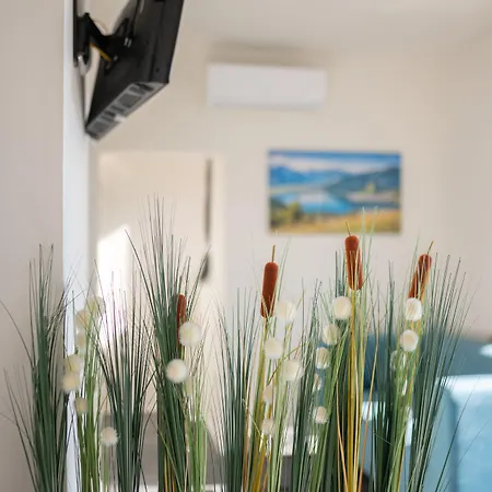 Apartsee Wellness 3*