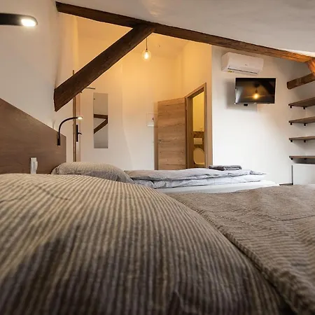 Apartsee Wellness Plzeň